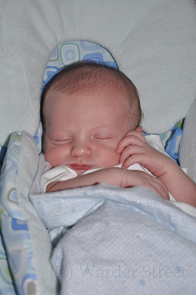 William's Second Week 41.jpg